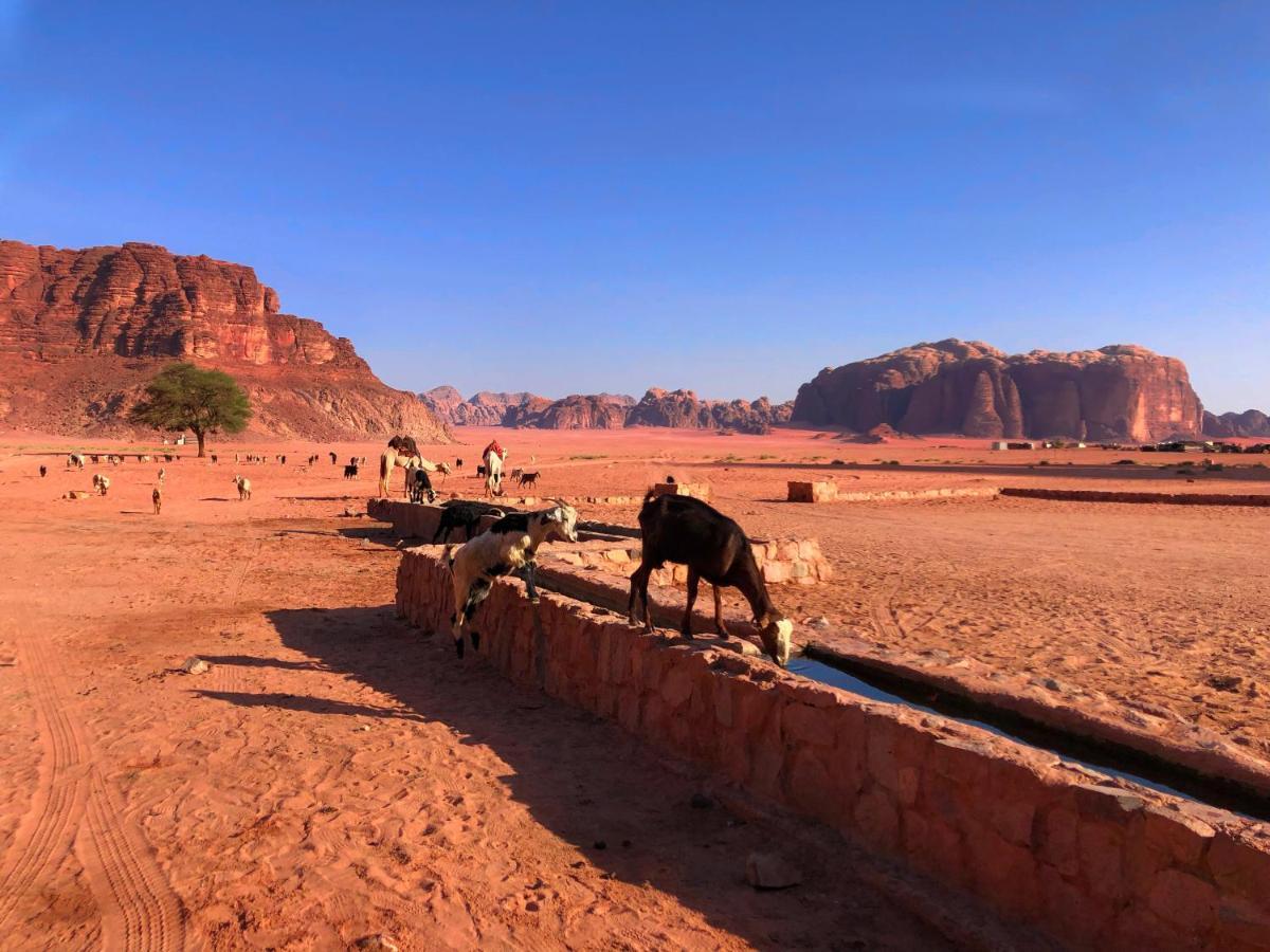 와디럼 Milky Way Bedouin Camp 빌라 외부 사진